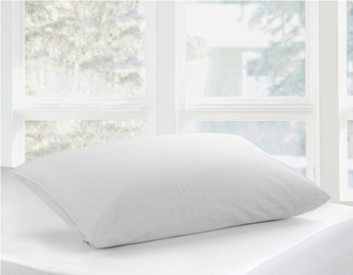 (obrázek pro) Polštář 70x50 Acarsan Natural ®